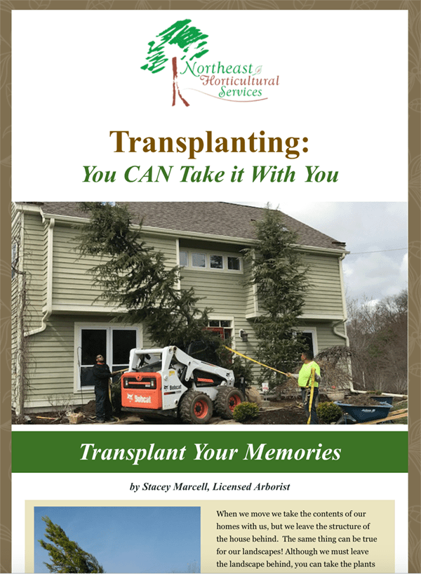 Northeast Horticultural Services - February eNewsletter