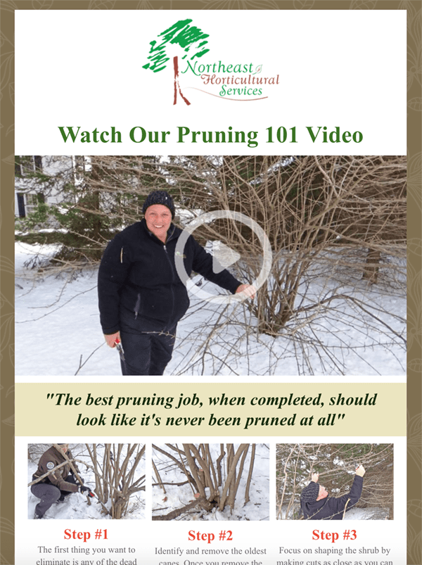 Northeast Horticultural Services - March eNewsletter