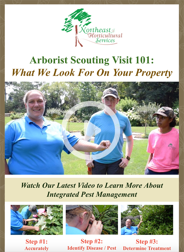 Northeast Horticultural Services - September eNewsletter