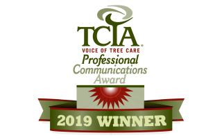 TCIA Winner 2019
