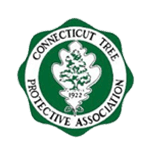 Connectcticut-Logo