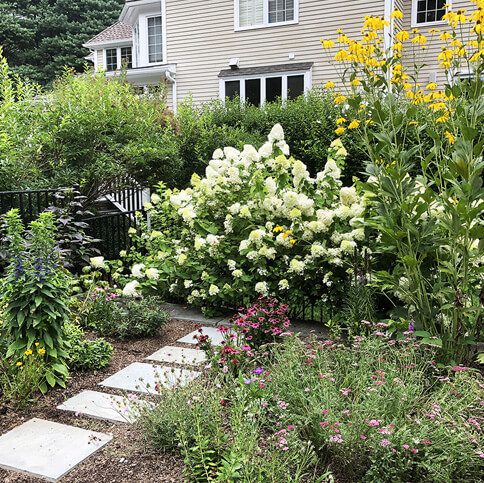 Flower-Img Flower-Img