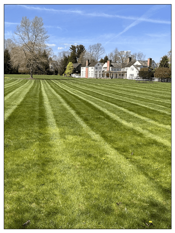 Lawn-Renovation