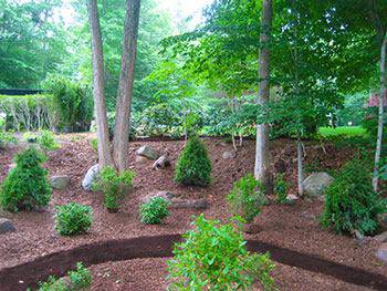 Eco-friendly Enhancements