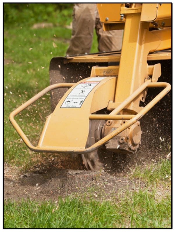 Stump Removal Service